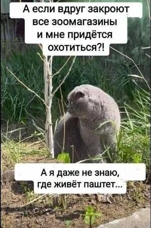 Сборник новых мемов и картинок с надписями для поднятия настроения!