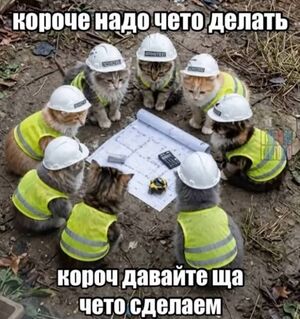 Маленькая пятница уже здесь! ✨