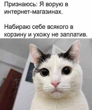 Заряжаемся на позитив! 