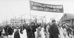 Два лагеря, одна деревня: история классовой борьбы в СССР