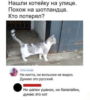Осторожно, уровень пошлости зашкаливает!