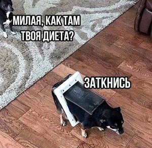 Понедельник: начало новой главы или просто «опять двадцать пять»? 