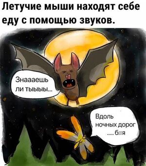 Заряжаемся позитивом! ⚡️