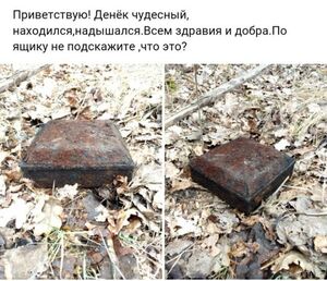 Устали от серых будней? Ловите порцию позитива, которая заставит вас улыбнуться!
