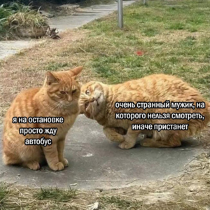 Пятница пришла — время выдохнуть! 