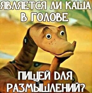 Устал от серых будней и бесконечных новостей? У нас есть проверенное лекарство. 