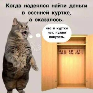 Среда стала ярче: свежая порция мемов и фото, чтобы дотянуть до выходных с улыбкой