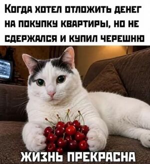 Пятница: миссия выполнима! 