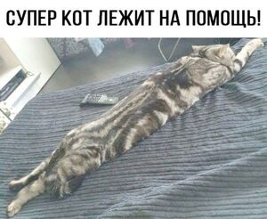 Пятничная доза позитива