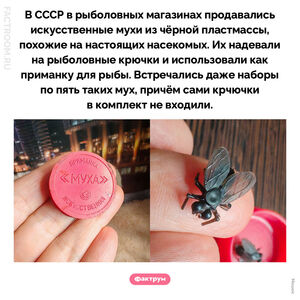 Зачем в СССР продавали искусственных мух