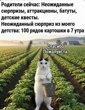 Воскресенье — день, когда даже будильник понимает, что лучше не лезть не в свое дело! ☕️✨