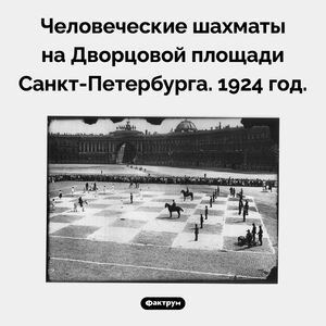 Шахматы на Дворцовой площади