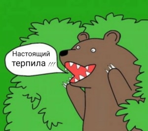 «Вы что, нам не доверяете?!»: как собеседования превращаются в цирк с конями