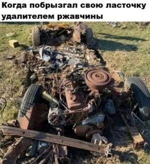 Срочно: противоядие от осенней хандры!