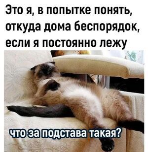 Выходные официально открыты! 