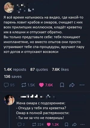 Когда смеяться не положено, а удержаться невозможно: подборка дерзких комментариев