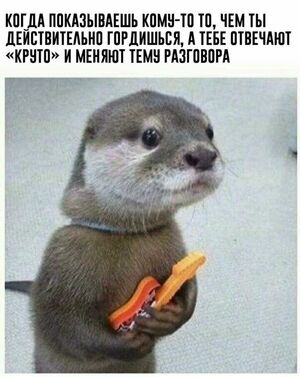 Воскресенье — время для улыбок! ☕️✨