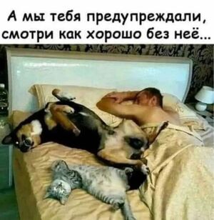 У нас для вас кое-что особенное! ✨ Новый сборник мемов, который точно поднимет настроение!
