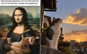 Когда календарь подмигивает, а кофе сдаётся: спасаемся юмором в середине недели