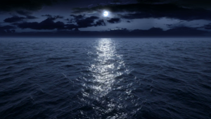 Что происходит в океане ночью?