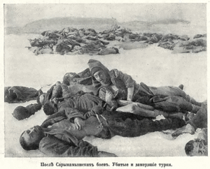 Как вся армия турков замерзла под Сарыкамышем?