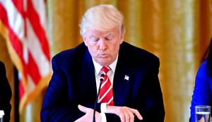 Трамп сказал: «Посмотрим». Украина всполошилась, России рано радоваться