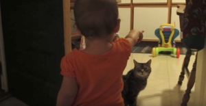 ВИДЕО: Малыш разговаривает с кошкой на неизвестном языке