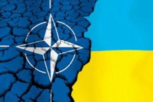 Неожиданное признание: при вступлении в НАТО от Украины останется половина!