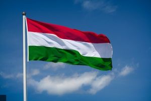 Червак: ситуация на Закарпатье накаляется, Венгрия перешла красную линию.