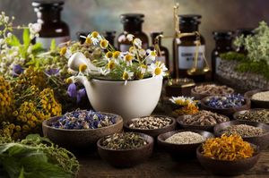 Лекарственные растения: 50 рецептов для здоровья спины и суставов