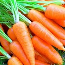 Природа лечит. морковь