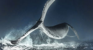 Изумительные снимки, победившие в конкурсе подводной фотографии Scuba Diving