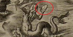 На карте Америки 1562 года обнаружен рисунок русалки со странным предметом в руках