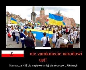 Украинцы устраивают попойки и избивают местных жителей до потери сознания: поляки на грани - «нужно гнать бандеровцев за Днепр»