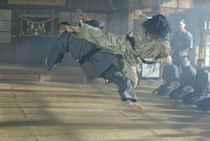 Карате. Реальная история боевых искусств Японии