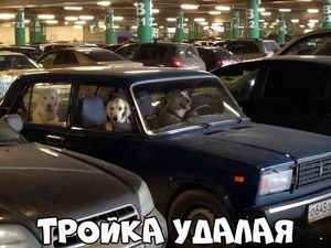 Автоюмор