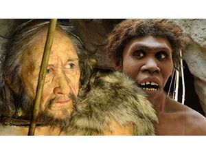 Генетики выяснили, зачем предки людей скрещивались с неандертальцами