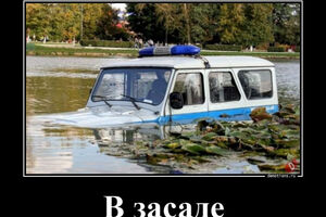 Демотиваторы-приколы: «В засаде» (13 фото)