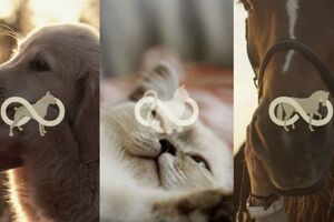 Компания Colossal приобретает лидера рынка клонирования Viagen для расширения усилий по сохранению редких видов