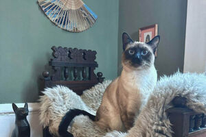 Сокровища среди пыли: невероятные находки из секонд-хендов (19 фото)