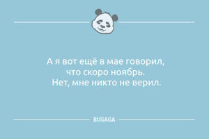 Анекдоты-свежинки: «А я вот ещё в мае говорил…» (9 фото)