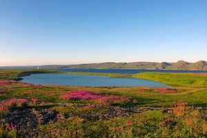 Уникальное озеро-коммуналка на севере России, где живут одновременно морские и пресноводные обитатели
