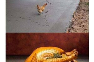 Коллекция мемов, поднимающих настроение