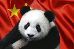 Что такое пандовая дипломатия, и Кто берет этих животных в аренду за 1 миллион долларов