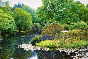 Зеленые сокровища мира: самые красивые ботанические сады планеты