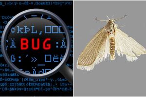 Как связаны ошибка кода и моль: происхождение 5 популярных интернет-терминов