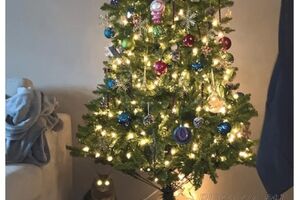 Новогодние мемы с кошками (10 шт)