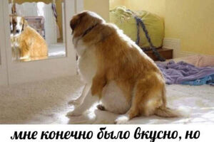 Новогоднее настроение: версия “после”