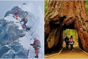 «Ступенька» на Эвересте, и ещё 6 чудес природы, которые мир потерял за последние полвека