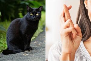 Скрестить пальцы, постучать по дереву: как появились самые популярные суеверия